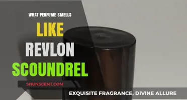 Scents of Mystery: Revlon Scoundrel's Perfume Notes