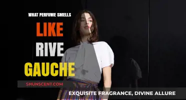 Discover the Scents of Rive Gauche