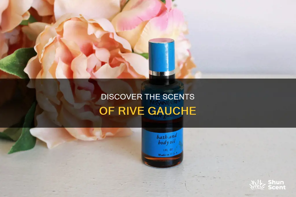 what perfume smells like rive gauche