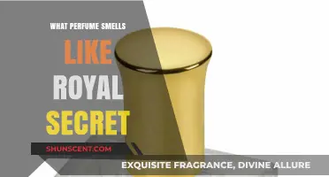 Discover the Royal Secret-Scented Perfumes for You