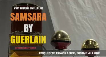 Discover Samsara by Guerlain's Perfume Alternatives