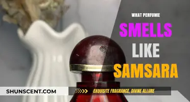 Discover Samsara's Sensual Scents: A Fragrance Guide