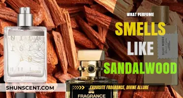 Explore Sandalwood Scents: A Guide to Perfumes