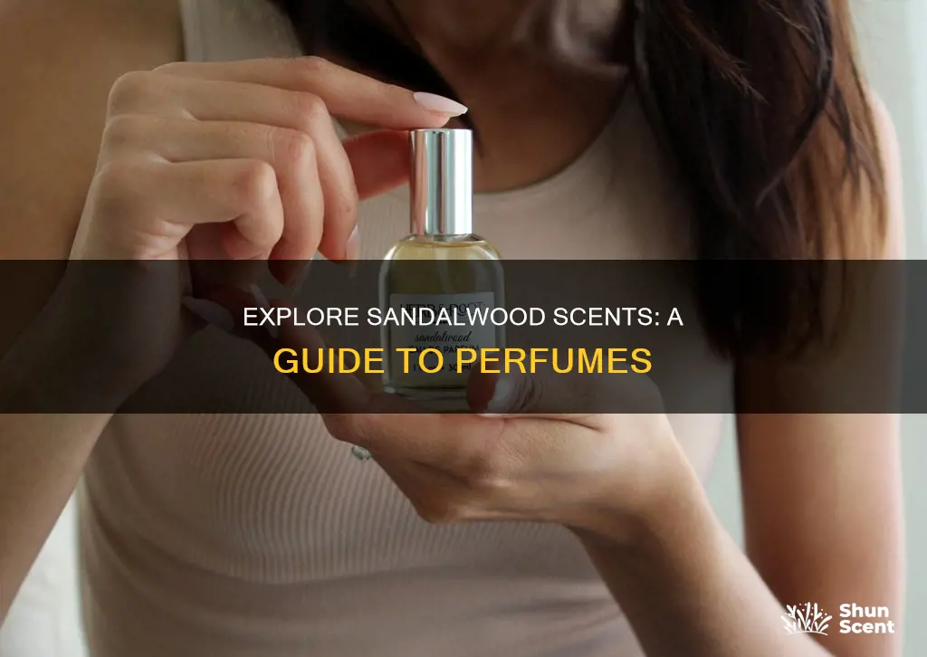 what perfume smells like sandalwood