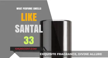 Santal 33 Dupes: Discover the Similar Scents