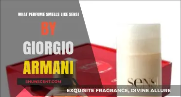 Explore Scents Similar to Sensi by Giorgio Armani