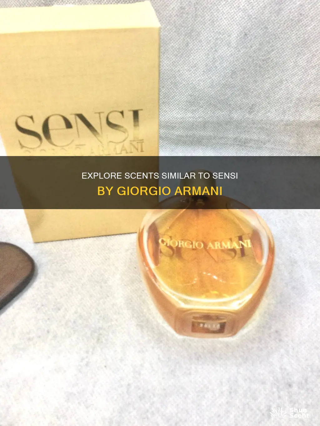 what perfume smells like sensi by giorgio armani