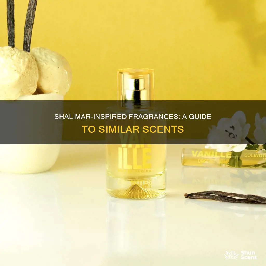 what perfume smells like shalimar