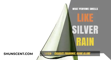Discover the Silver Rain Scent: Fresh, Clean, and Sparkling
