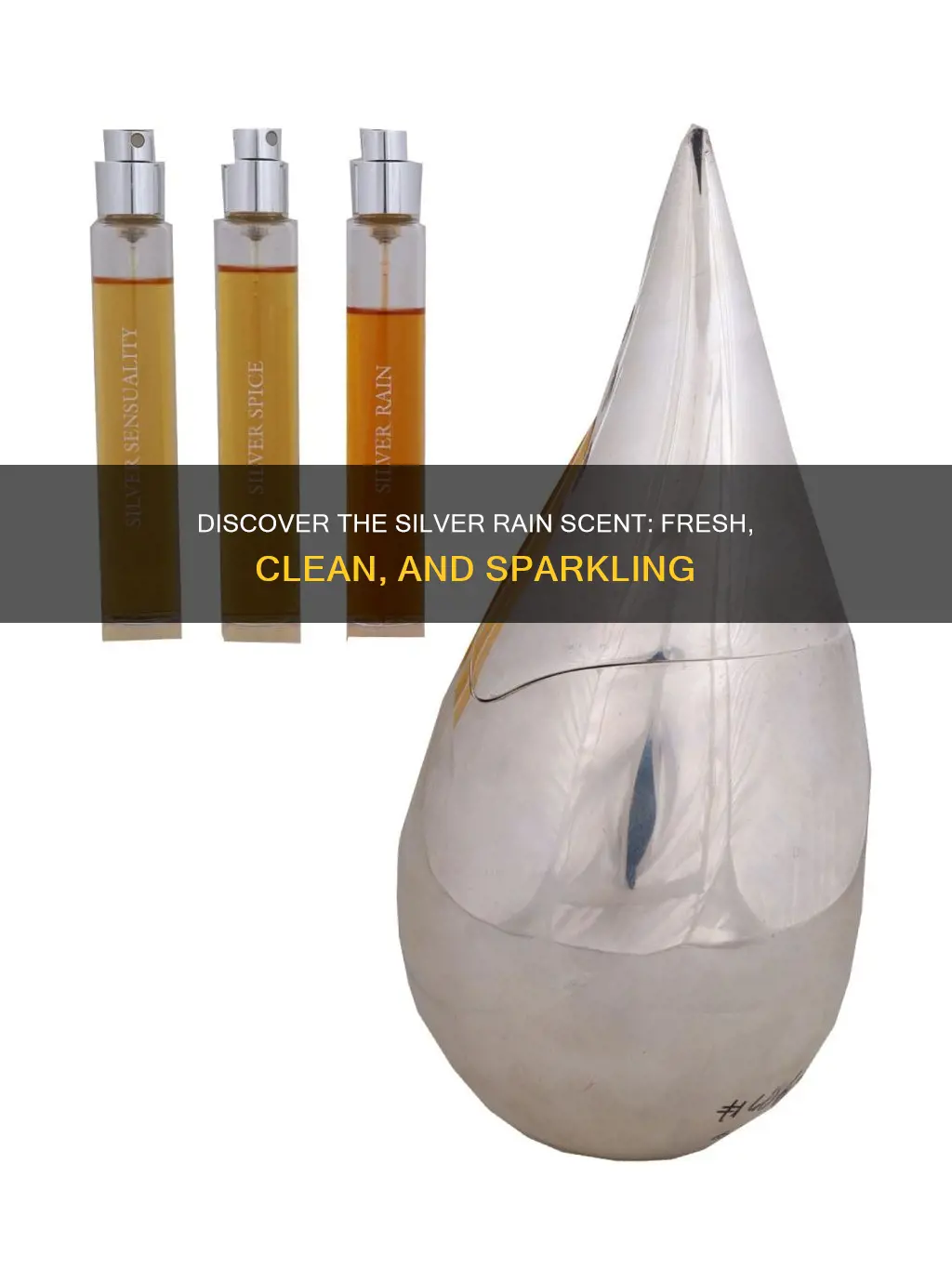 what perfume smells like silver rain