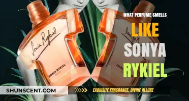 Discovering Scents: Perfumes Similar to Sonya Rykiel