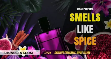 Explore Spicy Scents: Perfumes with a Warming Spice Kick