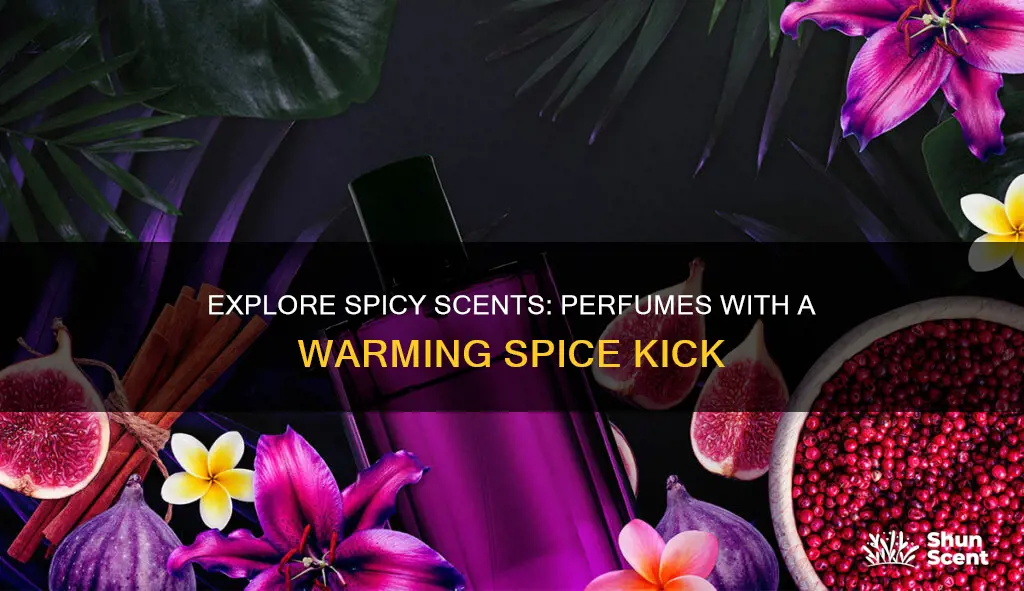 what perfume smells like spice