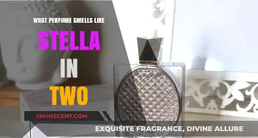 Find Your Signature Scent: Stella in Two