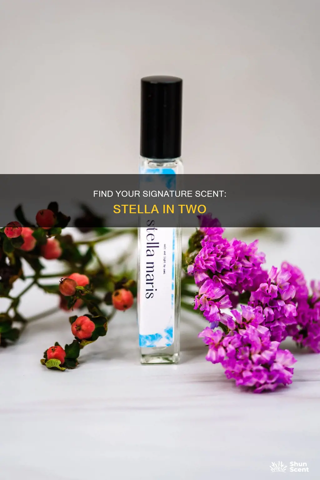 what perfume smells like stella in two