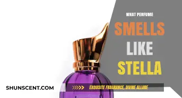 Discover the Fragrance that Evokes Stella's Essence