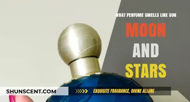Scents of Sun, Moon, and Stars: What Do They Smell Like?