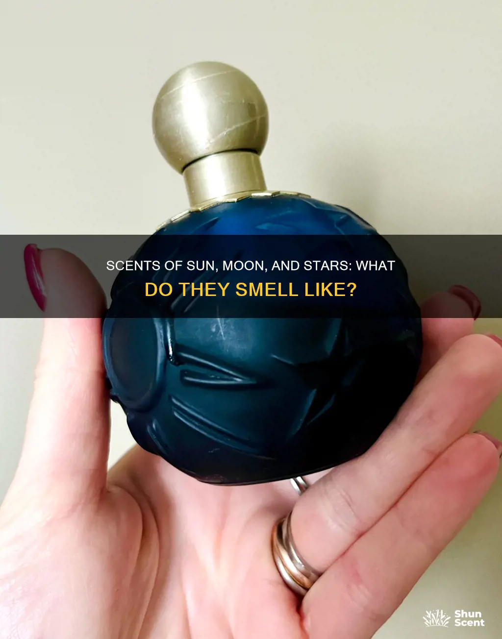 what perfume smells like sun moon and stars
