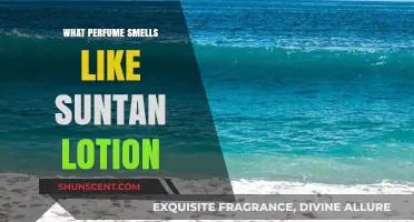 The Best Perfumes That Smell Like Suntan Lotion