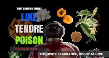 Similar Scents: Perfumes That Resemble Dior's Tender Poison