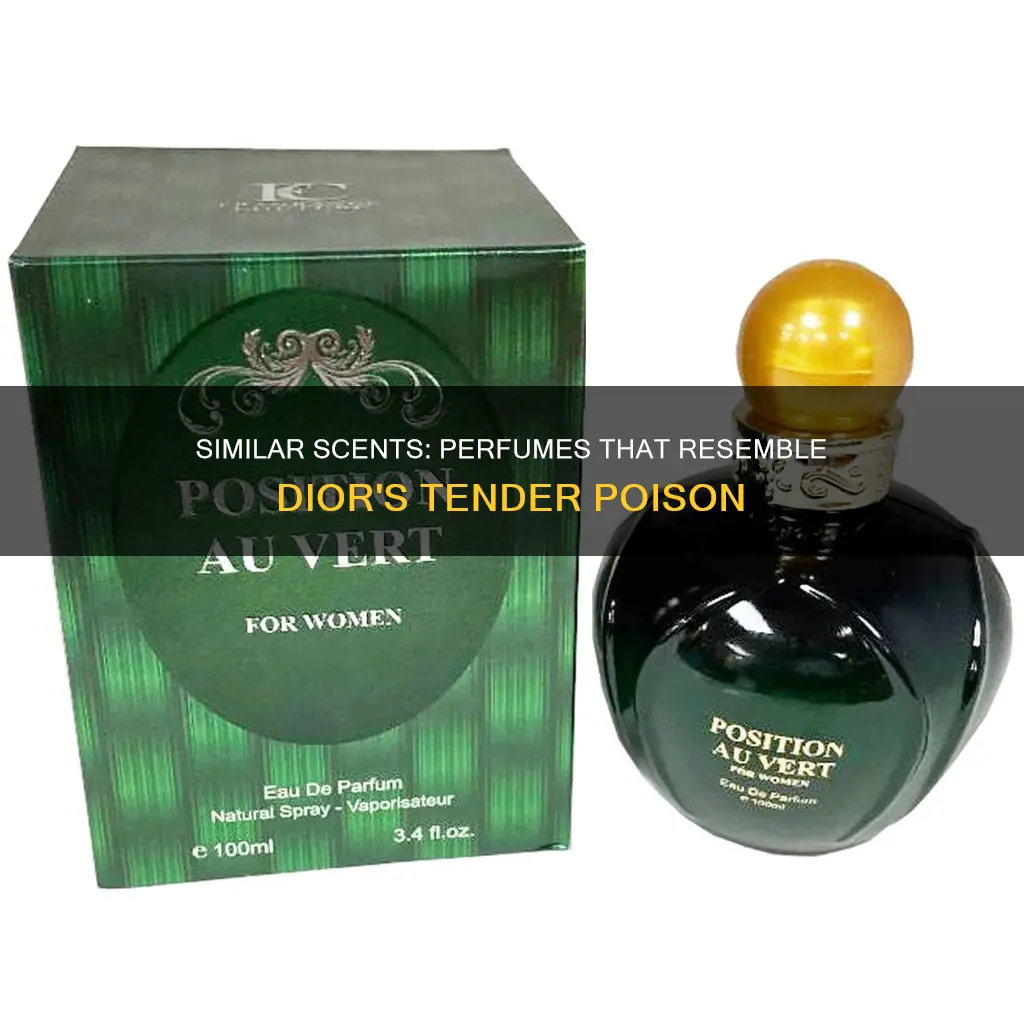 what perfume smells like tendre poison