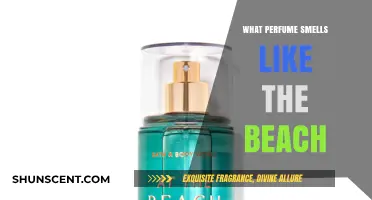 Beach Vibes: Perfumes That Smell Like Summer