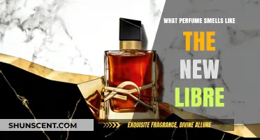 Discover New Libre Scents: Similar Perfumes for Women