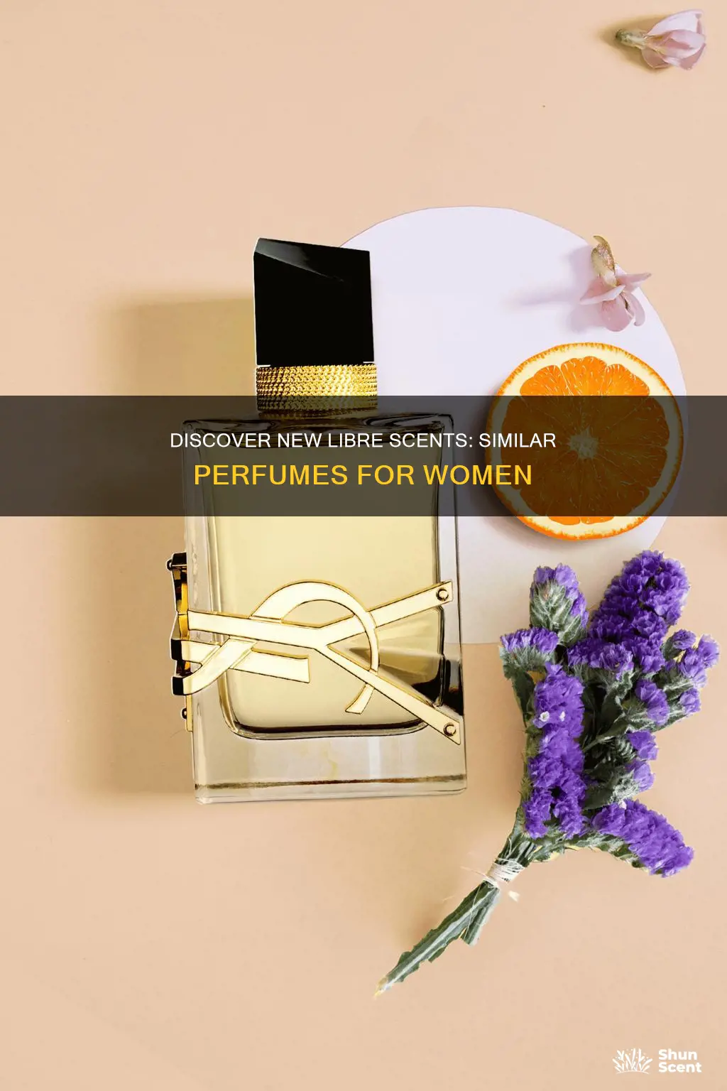 what perfume smells like the new libre