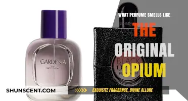 Opium Scents: Discovering the Original Fragrance's Notes