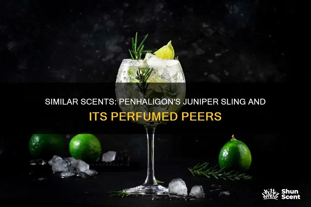 what perfume smells like the penhaligons juniper sling
