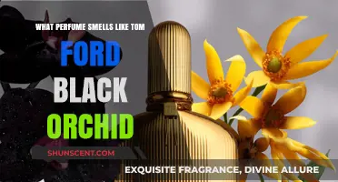 Tom Ford Black Orchid: Exploring Similar Scents