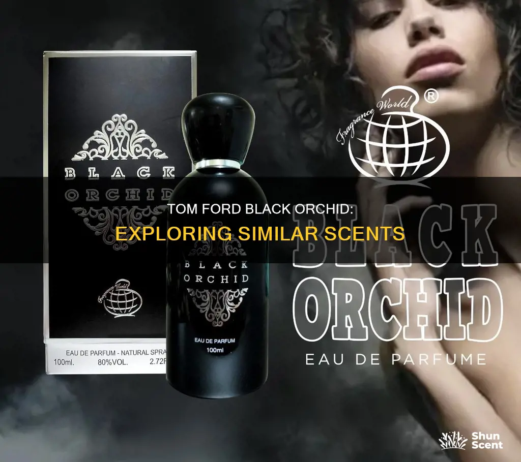 what perfume smells like tom ford black orchid
