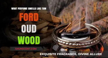 Tom Ford Oud Wood Perfume Dupes: Similar Scents