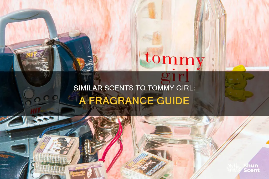 what perfume smells like tommy girl