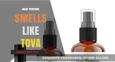Discovering the Scent of Tova: A Perfume Guide