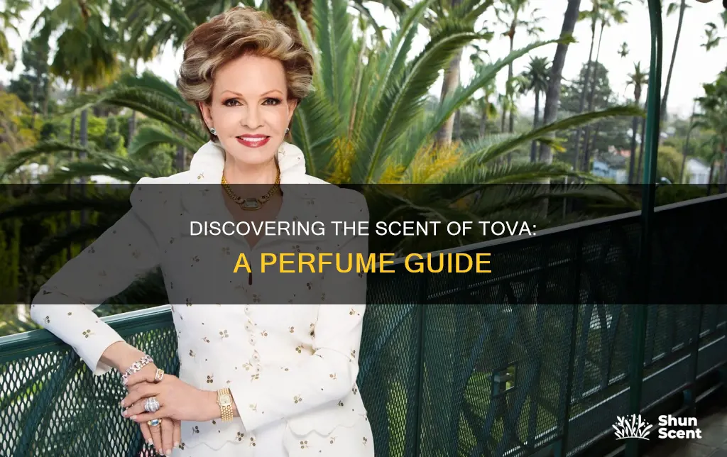 what perfume smells like tova