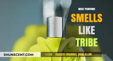 Discovering the Scent of Tribe: A Perfume Adventure