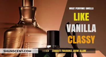 Vanilla Vibes: Classy Perfumes with a Sweet Edge