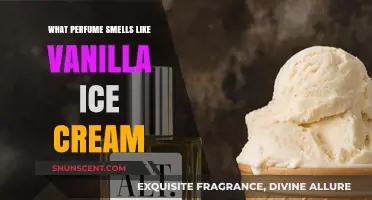 Vanilla Ice Cream: Which Perfumes Smell Like This?