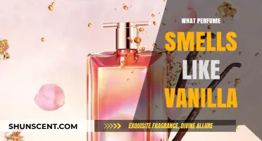 Vanilla-Based Perfumes: The Sweet Smell of Success
