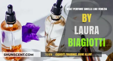 Venezia-Inspired Scents: Similar Perfumes to Laura Biagiotti's Classic