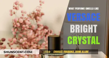 Similar Scents: Perfumes That Smell Like Versace Bright Crystal