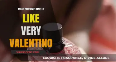 Valentino Perfume: Smell Like a Dream