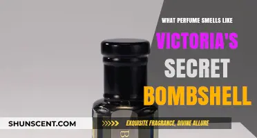 Bombshell Fragrance: How to Smell Like a Victoria's Secret Angel