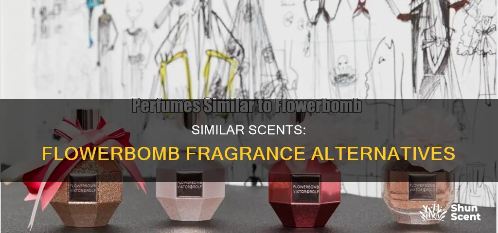 what perfume smells like viktor and rolf flowerbomb