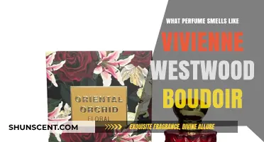 Discover Scents Similar to Vivienne Westwood's Boudoir Perfume