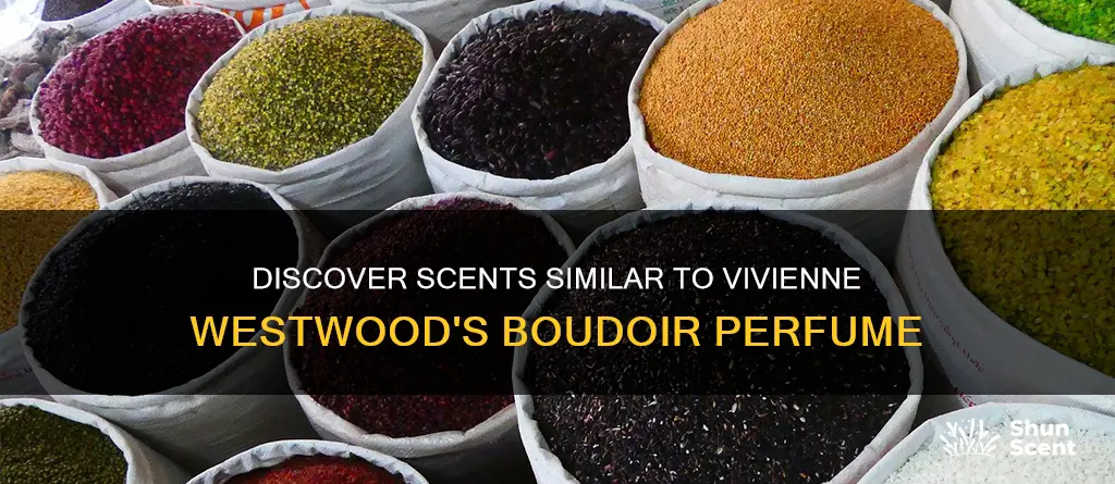 what perfume smells like vivienne westwood boudoir