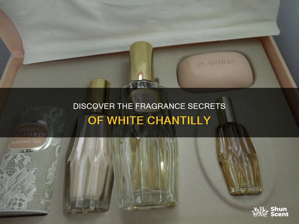 what perfume smells like white chantilly