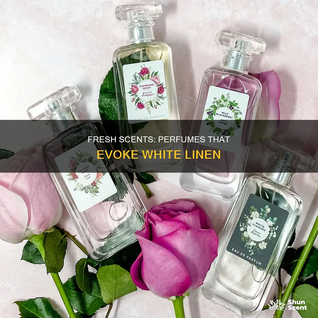 what perfume smells like white linen