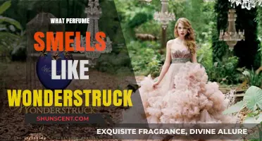 Explore Scents Similar to Wonderstruck
